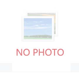 桐城：高壓鍋爐無縫管133*12φ各地區價格表-20G鋼管